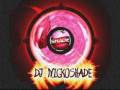 videos de amilliremixvid.wmv