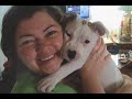 A PUPPY NAMED KOBE