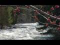 RLHT_Film_Contest.wmv