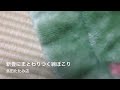 Click here to watch this video 【レアケース】新畳に付着するカーペットのホコリ