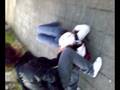 videos de Choccapickas (a Lena a levar no corpo again)