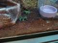 A Trip To Petco
