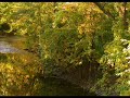 Red Cedar River Bodysurfing Red Cedar River Bodysurfing