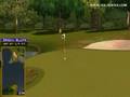 Golden Tee Great Shot on Sunny Wood!