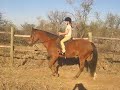 Riding lessons in the Bush