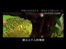 《释迦牟尼佛教化的一生》