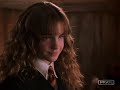 Harry Potter...Ron and Hermine in Love Harry Potter...Ron and Hermine in Love