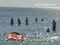 Softball 360 2005: WSL Championships and ASA Championship