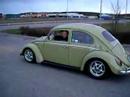 Beetle