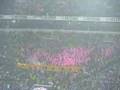Derbywandertag BVB!