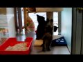 Gattini-dicembre09.MOV