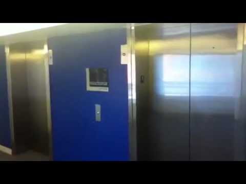 hall. dorms - Here's a quick tour of the stony brook dorms. Lauterbur hall.