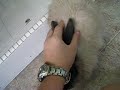 Bunny Bunny