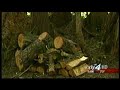 Shasta's testimony takes center stage