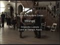 exhibition   milonga con traspie