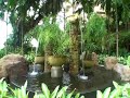 Rasa Sayang Hotel Penang