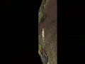 80 lvl bp movie