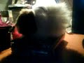 gioi mentre dorme
