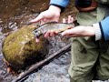 Fly fishing a North Carolina winter