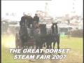 Dorset Steam Fair 2007 horse drown fire pump