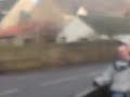 Bingo jumps off bridge!!!