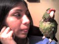 Poli Plumas3