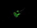 Paradiso Perduto - Your Emotions Fest Vol7 - Tabaco