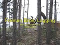 Friesen Bros. Logging
