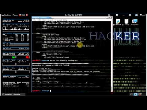 how to check heart bleed ssl