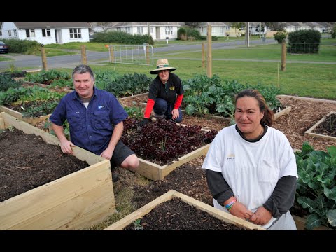 how to harvest knowledge