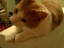 Messy Marvin being cute Messy Marvin being cute