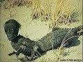 ghosts cryptozoology and the paranormal