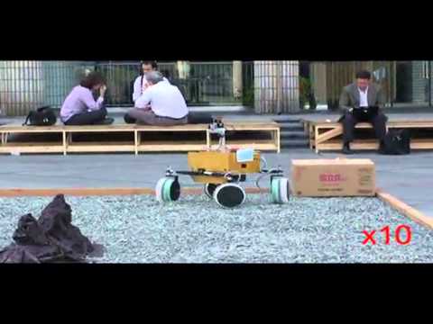 Team White Label Space: Bringing together Japanese Robotics and European Landers