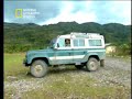 los andes el oso de anteojos y condor colombia
