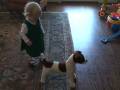videos de Audrey and Rex - Christmas 2008