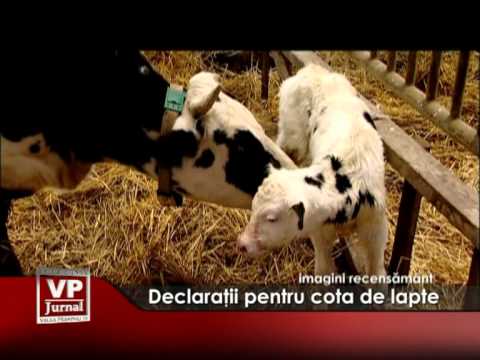 Declaraţii pentru cota de lapte