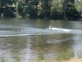 videos de RC airboat. Kamacopy