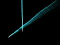 Vectorial Soundscape - www.med44.com