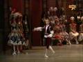 Andrian Fadeyev, III act variation, from Sleeping Beauty