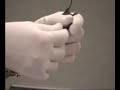 See Video