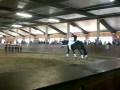 videos de Engter 08 Pflicht 1. Block