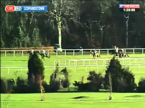 paddy power paddy power