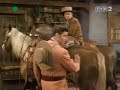 Zorro latino Caballo Blanco (2)