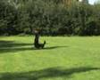 Schutzhund Wodan van Adelrik healing