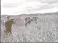Vietnam 2 GREEN BERETS 1960 Training & Memoirs Montagnards