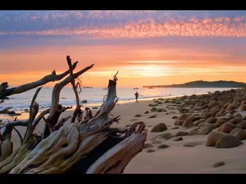 8 Hour Relaxing Music Sleep: Meditation Music, Sleeping Music, Delta Waves, Sleep Hypnosis ☯688