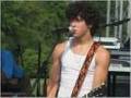 Love Bug with lyrics