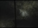 Fatal Frame 3 Final Hour (part 45) Fatal Frame 3 Final Hour (part 45)