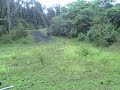 Riding Dirtbike 3