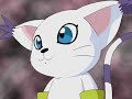 Superdigievoluzione - Gatomon in Angewomon Superdigievoluzione - Gatomon in Angewomon